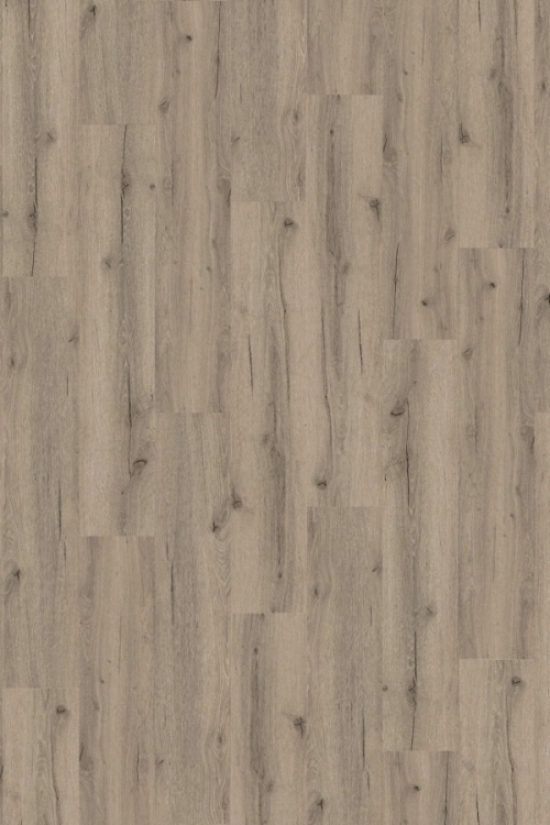 Tölgy Pistacia ragasztandó