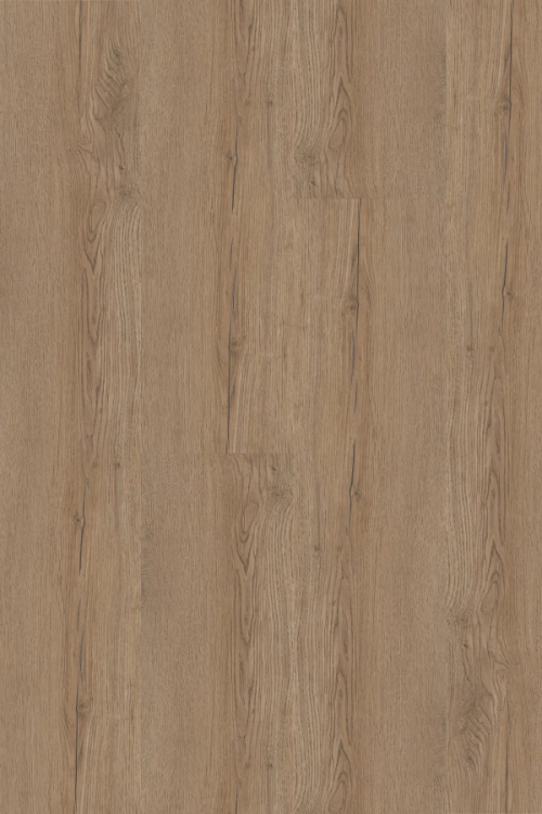 Tölgy Lindera ragasztandó