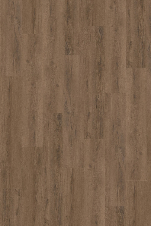 Tölgy Citus ragasztandó