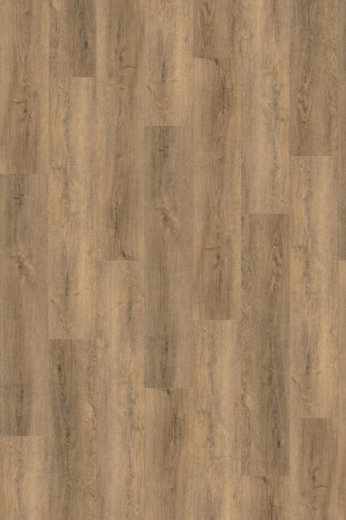 Tölgy Sophora ragasztandó