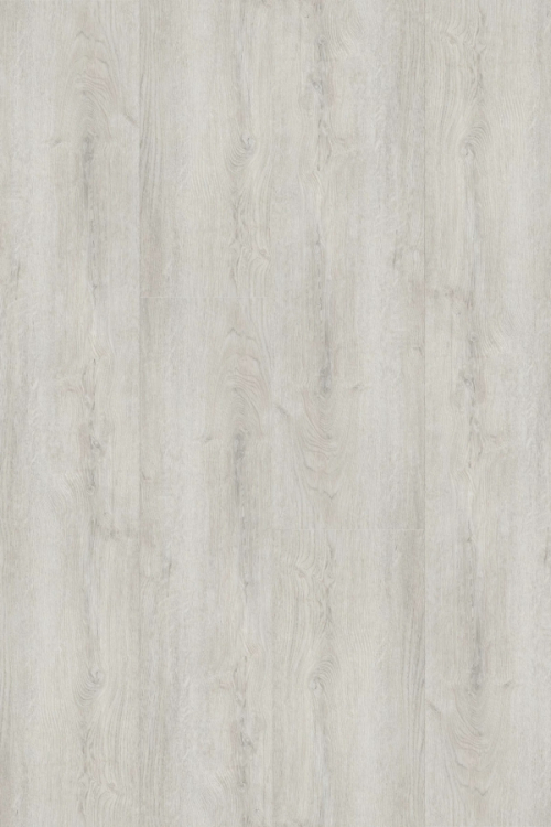 Tölgy Forsythia SPC