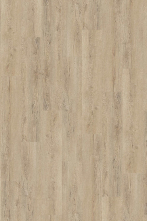 Tölgy Lindera Hybrid