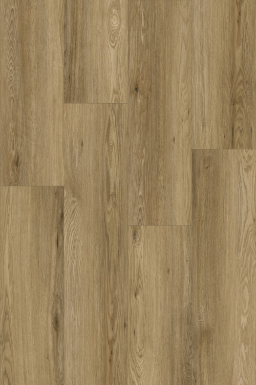 Tölgy Alice ragasztandó