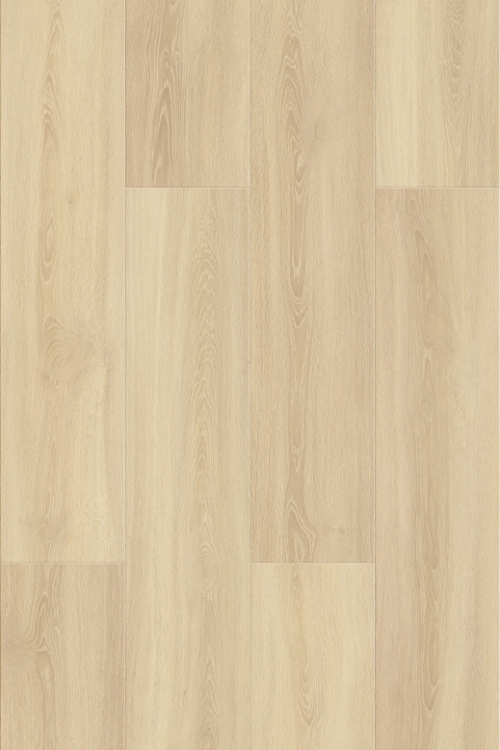 Tölgy Ilona ragasztandó