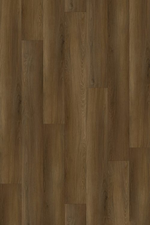 Tölgy Monika ragasztandó