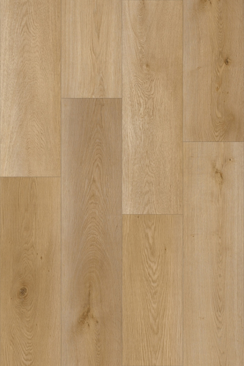 Tölgy Nela ragasztandó