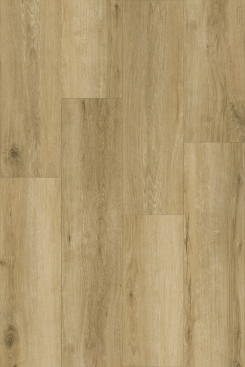 Tölgy Marta ragasztandó