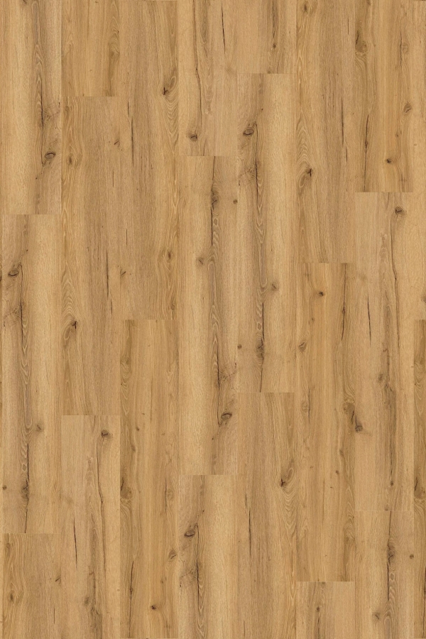 Tölgy Erica ragasztandó